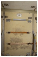 Inspite of these efforts, mold remains an issue on the ISS